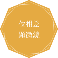 位相差顕微鏡